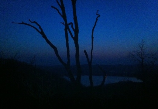 Night on Lakeview Trail